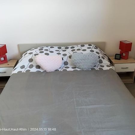 Apartment Einliegerwohnung Hagenthal-le-Haut Luaran gambar